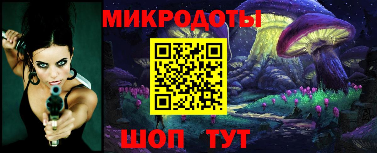 Курчатов  Псилоцибиновые грибы мухоморы  Вход с VPN 